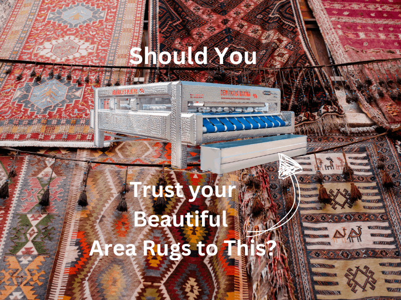 Should Your Trust Your Area Rug  to a washing machine safer rug Cleaning by Ecosuds In Hamilton Ontario