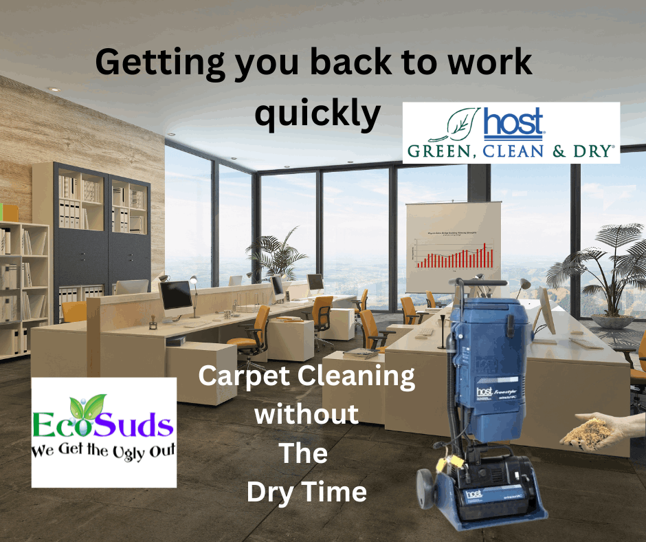 Commercial Carpet Cleaning to Create Healthier Workplaces in Hamilton Ontario