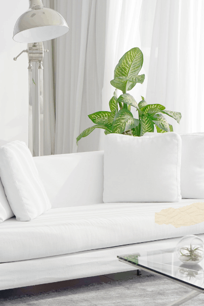 Sofa needs cleaning Cellulous Browning in Burlington Ontario